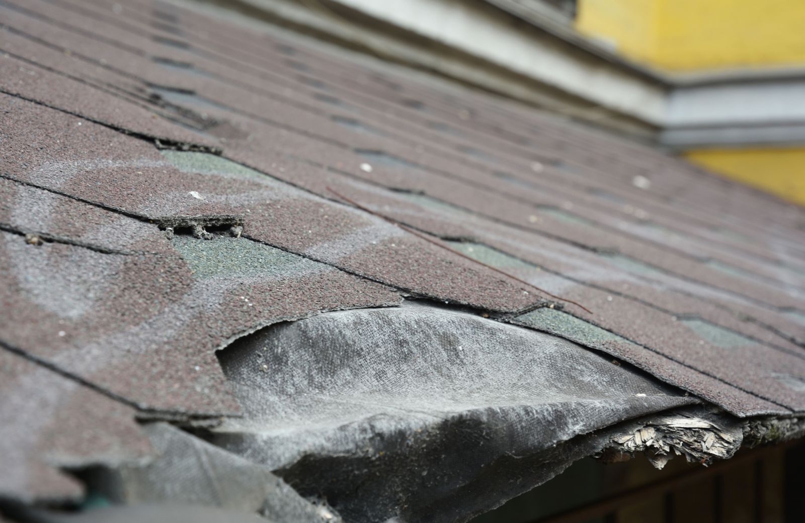 J Riley Roofing Images