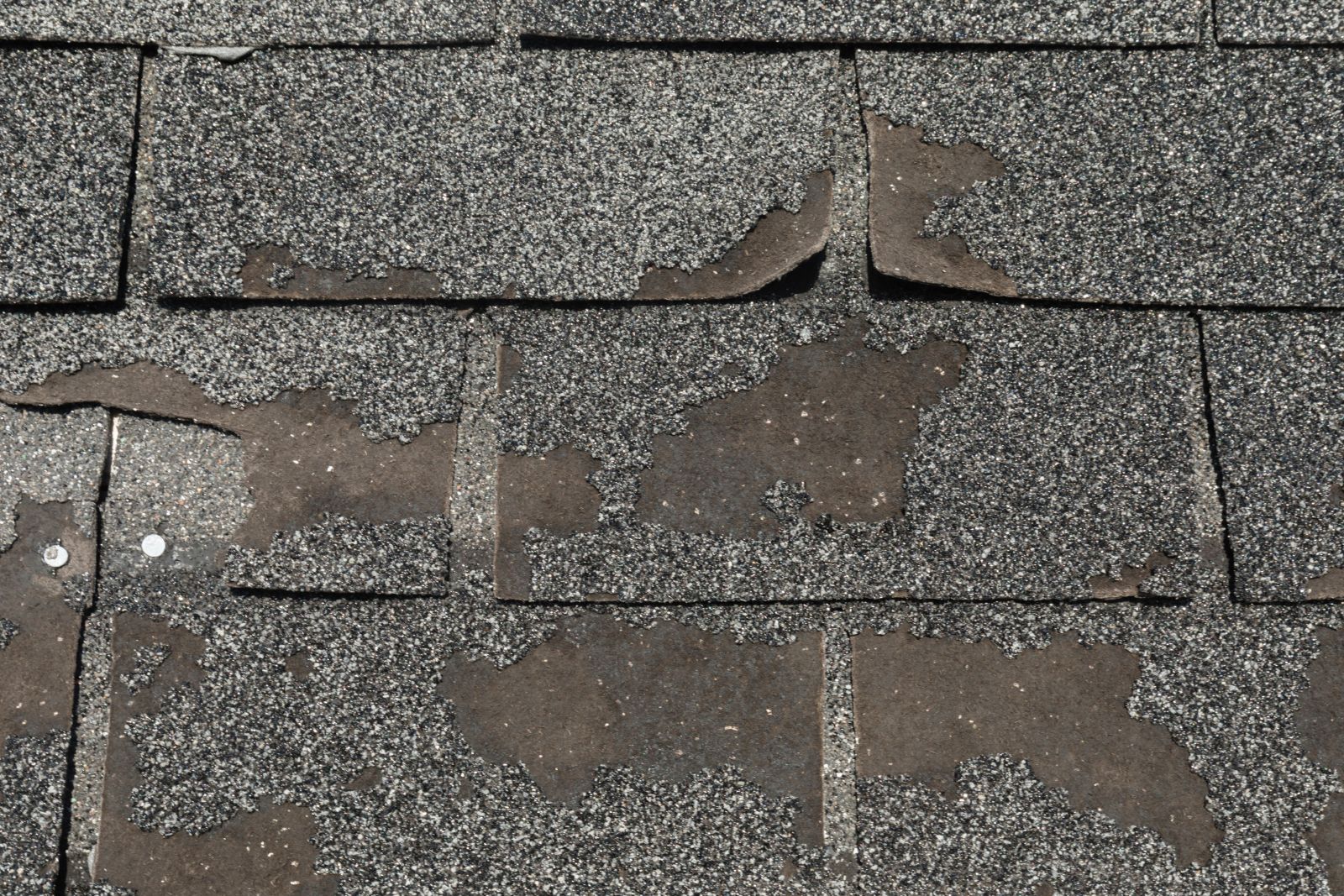 J Riley Roofing Images