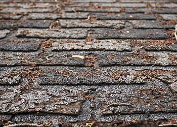 J Riley Roofing Images