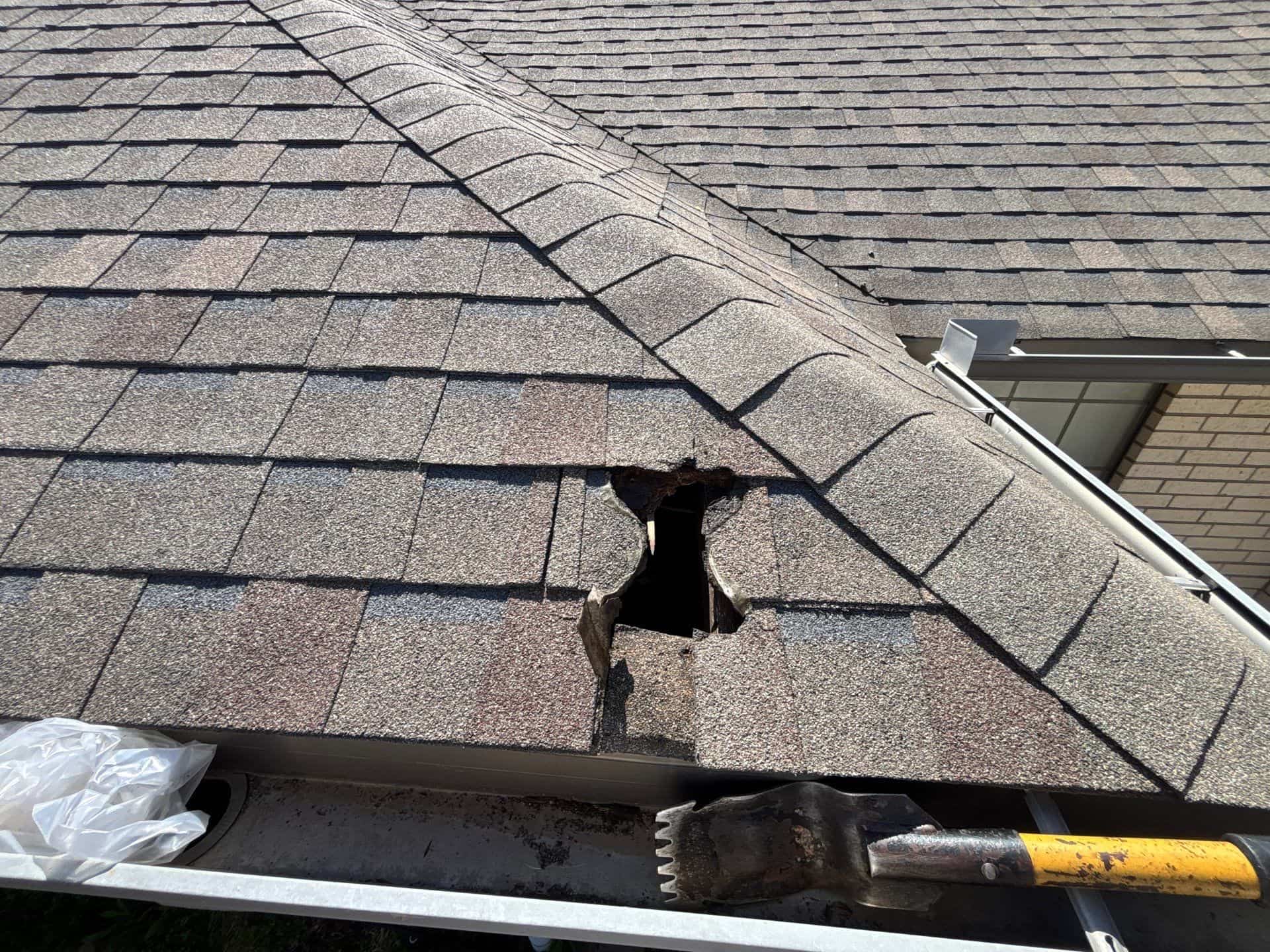 BEFORE REPAIR