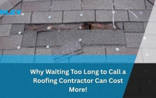 Damaged roof shingles with exposed wood and loose nails, part of roofing repair work.